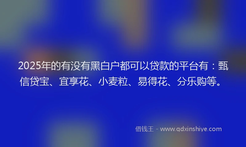 2025年的有没有黑白户都可以贷款的平台有：甄信贷宝、宜享花、小麦粒、易得花、分乐购等。