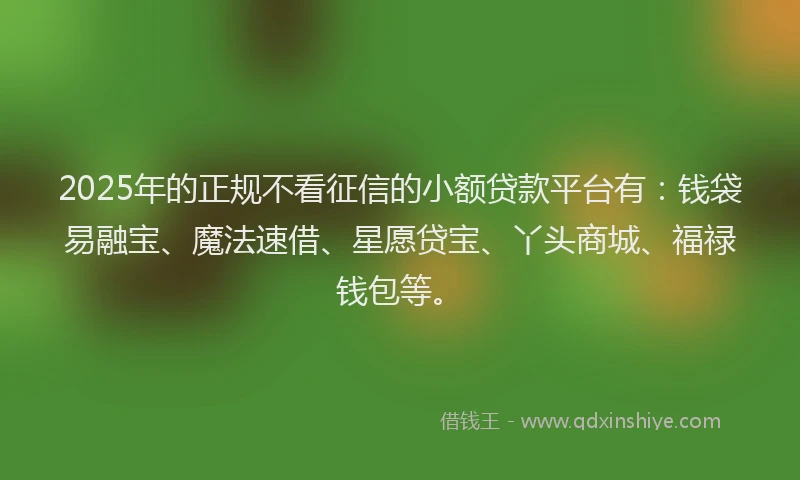 2025年的正规不看征信的小额贷款平台有：钱袋易融宝、魔法速借、星愿贷宝、丫头商城、福禄钱包等。