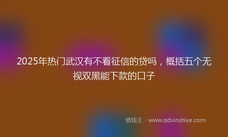 2025年热门武汉有不看征信的贷吗，概括五个无视双黑能下款的口子