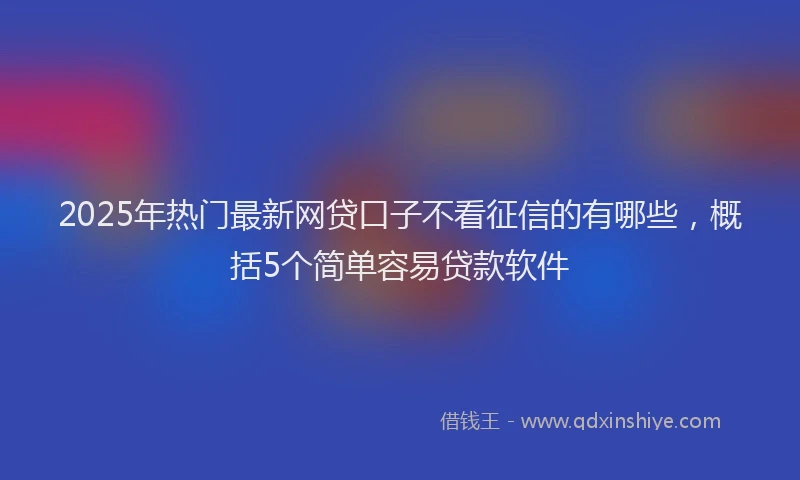 2025年热门最新网贷口子不看征信的有哪些，概括5个简单容易贷款软件