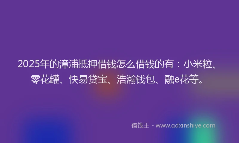 2025年的漳浦抵押借钱怎么借钱的有：小米粒、零花罐、快易贷宝、浩瀚钱包、融e花等。