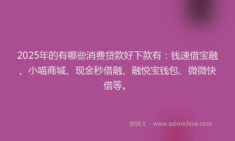 2025年的有哪些消费贷款好下款有：钱速借宝融、小喵商城、现金秒借融、融悦宝钱包、微微快借等。