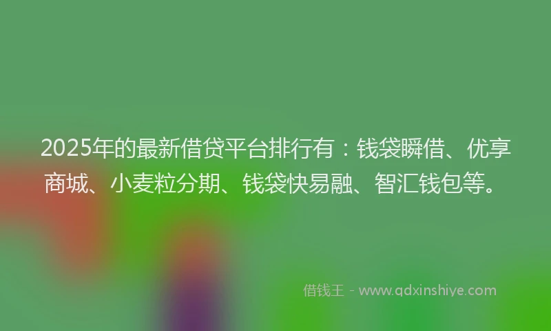2025年的最新借贷平台排行有：钱袋瞬借、优享商城、小麦粒分期、钱袋快易融、智汇钱包等。
