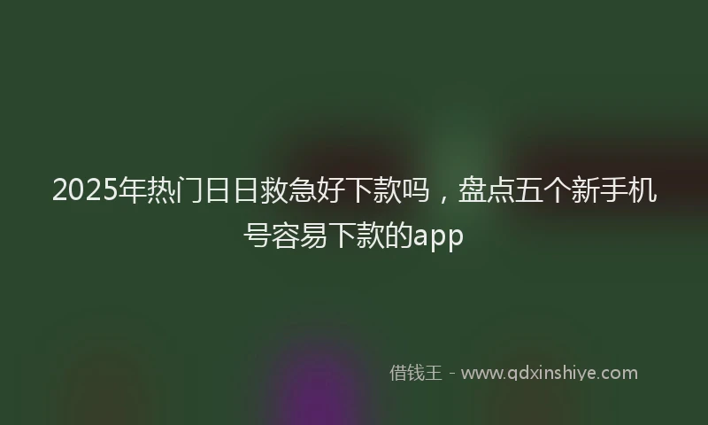 2025年热门日日救急好下款吗，盘点五个新手机号容易下款的app
