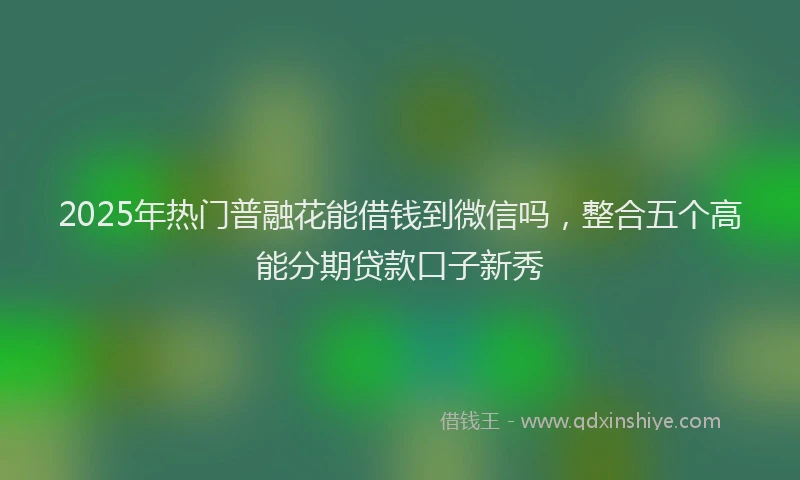 2025年热门普融花能借钱到微信吗，整合五个高能分期贷款口子新秀