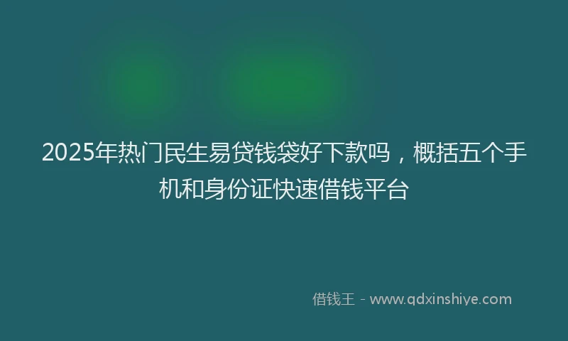 2025年热门民生易贷钱袋好下款吗，概括五个手机和身份证快速借钱平台