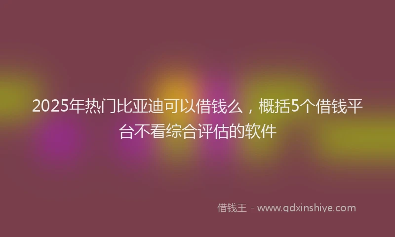 2025年热门比亚迪可以借钱么，概括5个借钱平台不看综合评估的软件