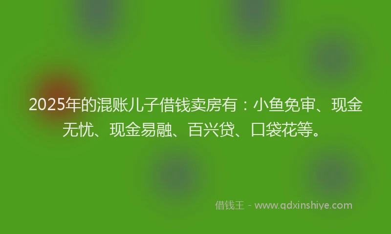 2025年的混账儿子借钱卖房有：小鱼免审、现金无忧、现金易融、百兴贷、口袋花等。