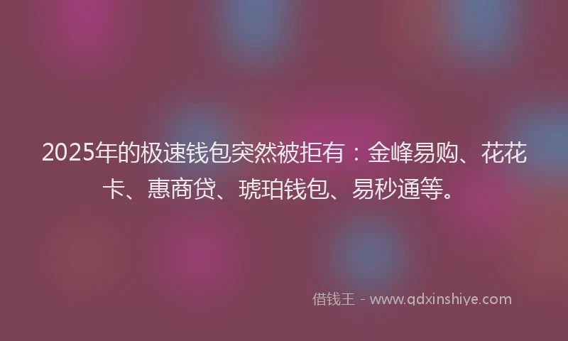 2025年的极速钱包突然被拒有：金峰易购、花花卡、惠商贷、琥珀钱包、易秒通等。