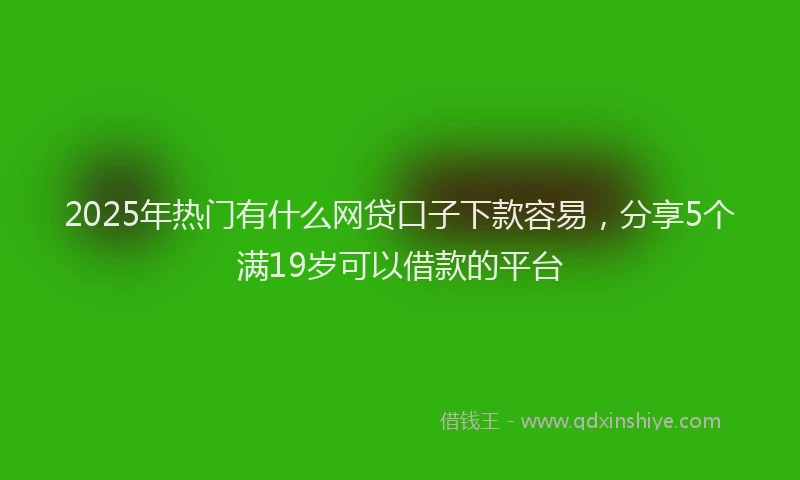 2025年热门有什么网贷口子下款容易，分享5个满19岁可以借款的平台