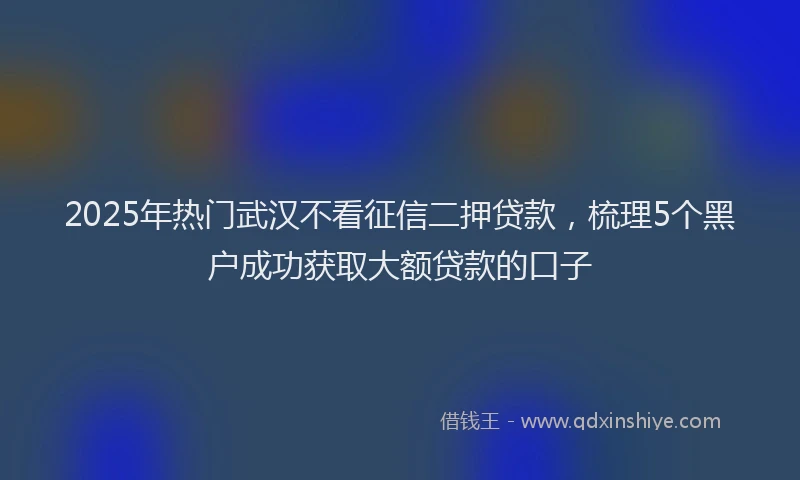 2025年热门武汉不看征信二押贷款，梳理5个黑户成功获取大额贷款的口子