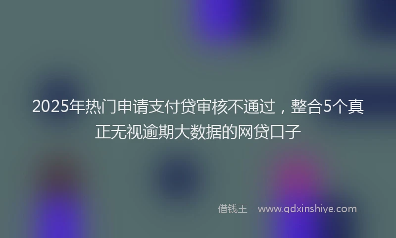 2025年热门申请支付贷审核不通过，整合5个真正无视逾期大数据的网贷口子