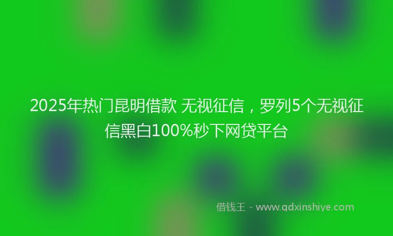 2025年热门昆明借款 无视征信，罗列5个无视征信黑白100%秒下网贷平台