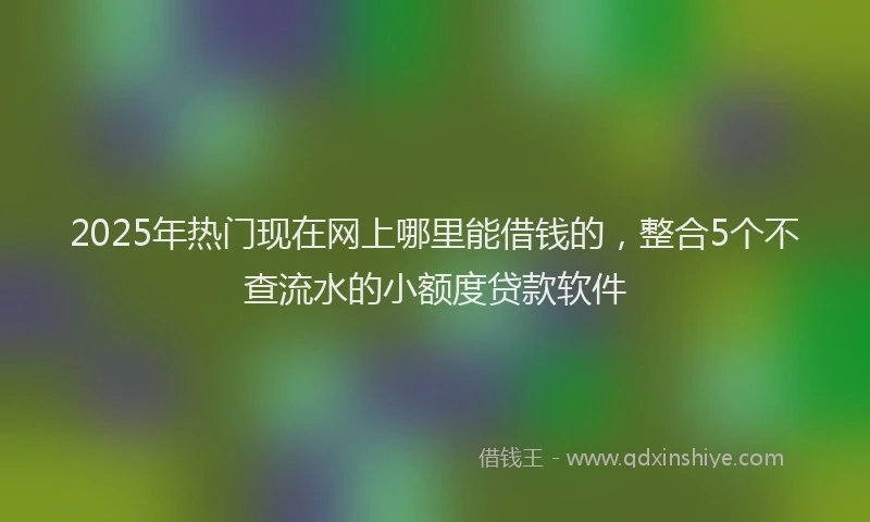 2025年热门现在网上哪里能借钱的，整合5个不查流水的小额度贷款软件