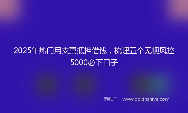 2025年热门用支票抵押借钱，梳理五个无视风控5000必下口子