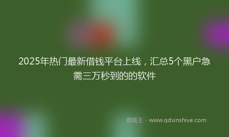 2025年热门最新借钱平台上线，汇总5个黑户急需三万秒到的的软件