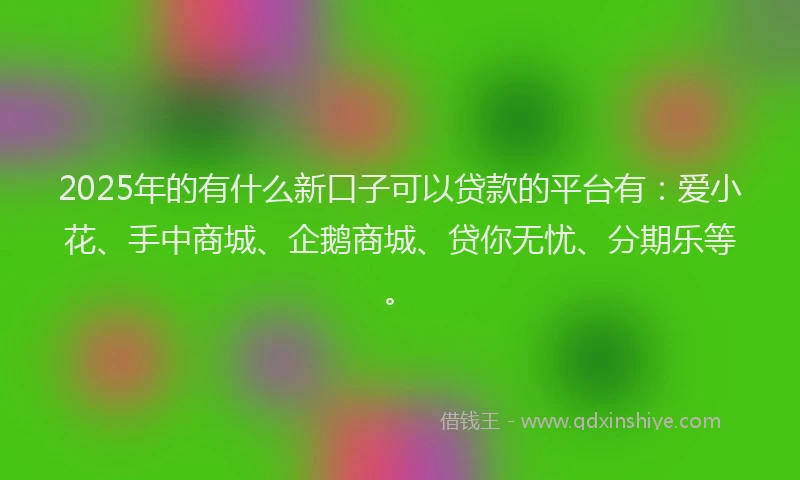 2025年的有什么新口子可以贷款的平台有：爱小花、手中商城、企鹅商城、贷你无忧、分期乐等。