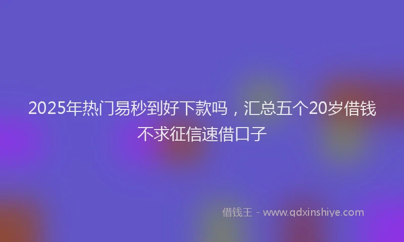 2025年热门易秒到好下款吗，汇总五个20岁借钱不求征信速借口子