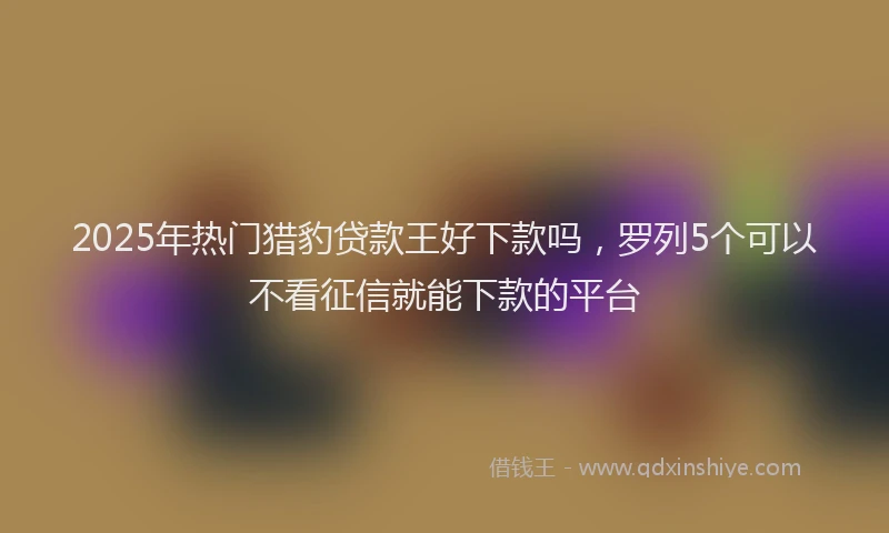 2025年热门猎豹贷款王好下款吗，罗列5个可以不看征信就能下款的平台