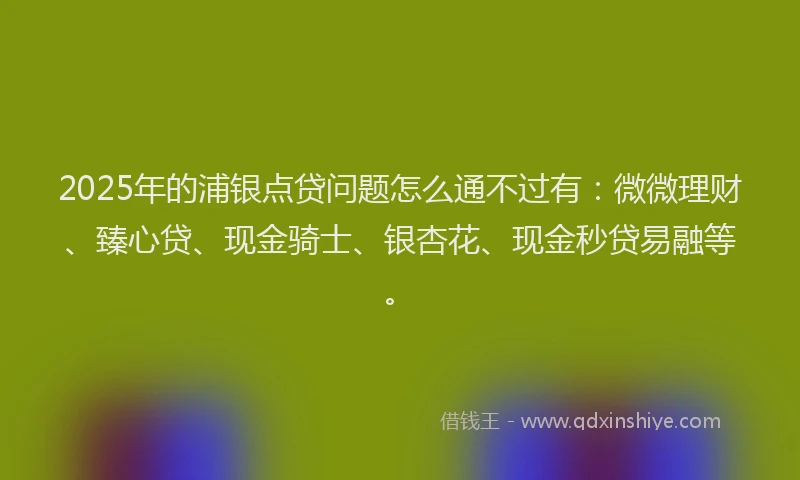 2025年的浦银点贷问题怎么通不过有：微微理财、臻心贷、现金骑士、银杏花、现金秒贷易融等。