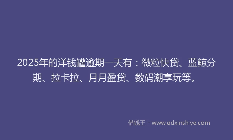 2025年的洋钱罐逾期一天有：微粒快贷、蓝鲸分期、拉卡拉、月月盈贷、数码潮享玩等。