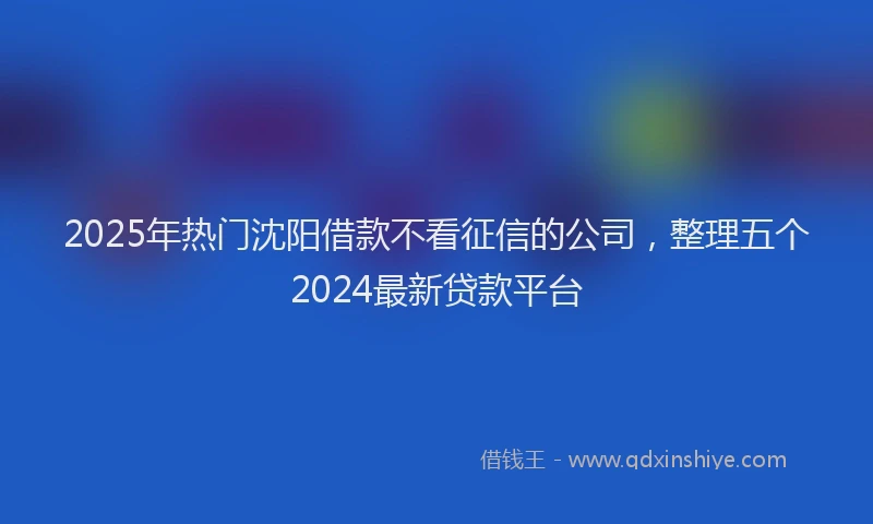 2025年热门沈阳借款不看征信的公司，整理五个2024最新贷款平台