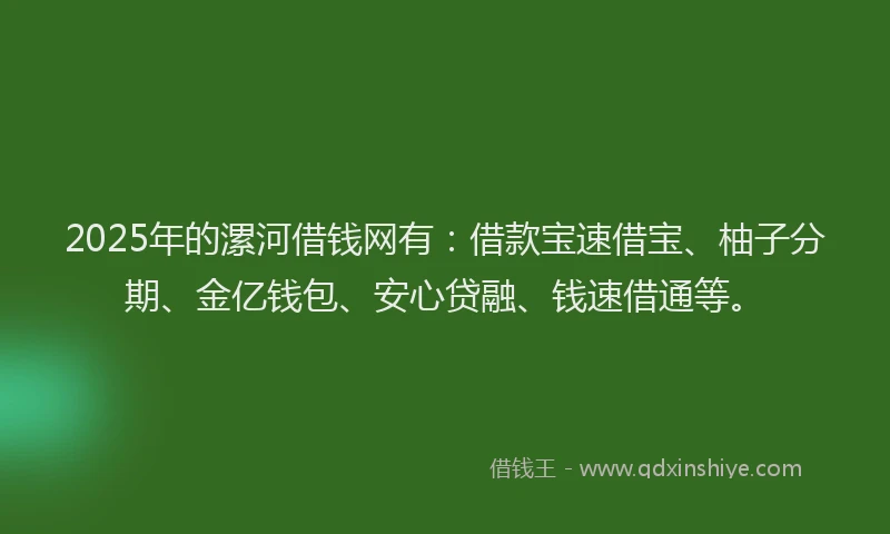 2025年的漯河借钱网有：借款宝速借宝、柚子分期、金亿钱包、安心贷融、钱速借通等。