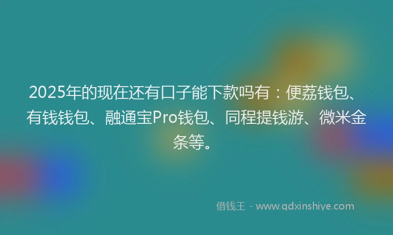2025年的现在还有口子能下款吗有：便荔钱包、有钱钱包、融通宝Pro钱包、同程提钱游、微米金条等。