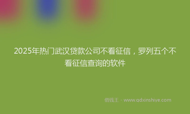 2025年热门武汉贷款公司不看征信，罗列五个不看征信查询的软件
