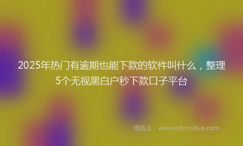 2025年热门有逾期也能下款的软件叫什么，整理5个无视黑白户秒下款口子平台