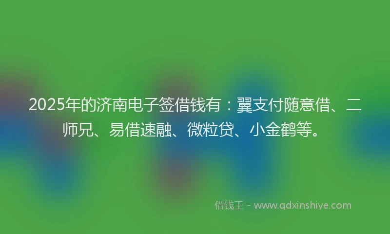 2025年的济南电子签借钱有：翼支付随意借、二师兄、易借速融、微粒贷、小金鹤等。
