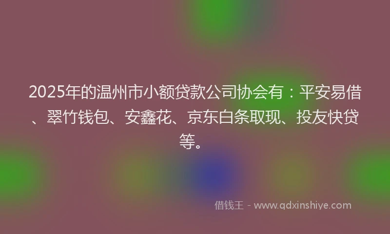 2025年的温州市小额贷款公司协会有：平安易借、翠竹钱包、安鑫花、京东白条取现、投友快贷等。