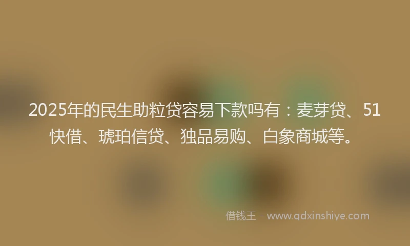 2025年的民生助粒贷容易下款吗有：麦芽贷、51快借、琥珀信贷、独品易购、白象商城等。