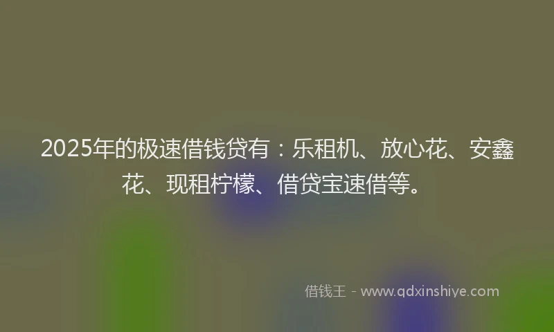 2025年的极速借钱贷有：乐租机、放心花、安鑫花、现租柠檬、借贷宝速借等。