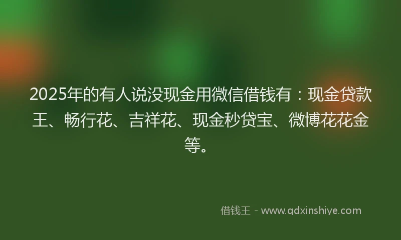 2025年的有人说没现金用微信借钱有：现金贷款王、畅行花、吉祥花、现金秒贷宝、微博花花金等。