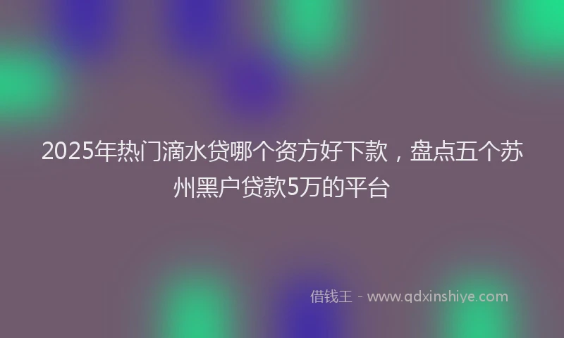 2025年热门滴水贷哪个资方好下款，盘点五个苏州黑户贷款5万的平台