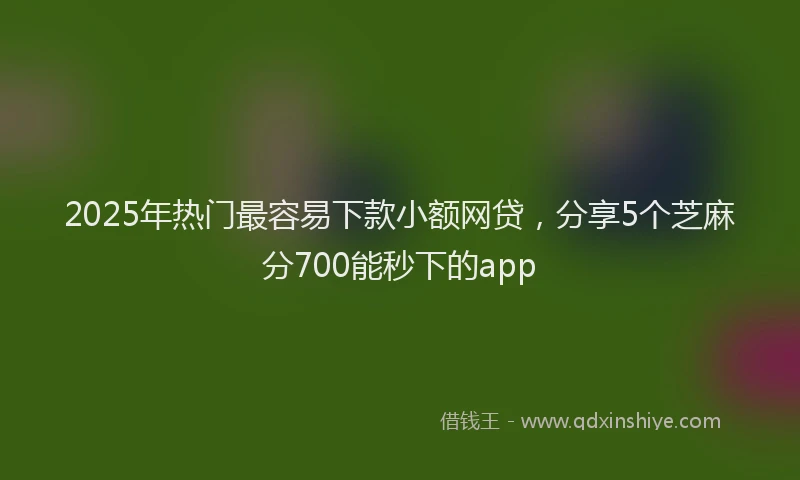 2025年热门最容易下款小额网贷，分享5个芝麻分700能秒下的app