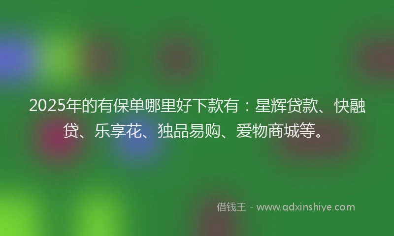 2025年的有保单哪里好下款有：星辉贷款、快融贷、乐享花、独品易购、爱物商城等。