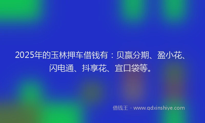 2025年的玉林押车借钱有：贝赢分期、盈小花、闪电通、抖享花、宜口袋等。