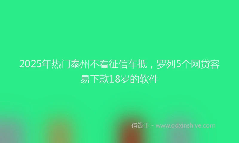 2025年热门泰州不看征信车抵，罗列5个网贷容易下款18岁的软件
