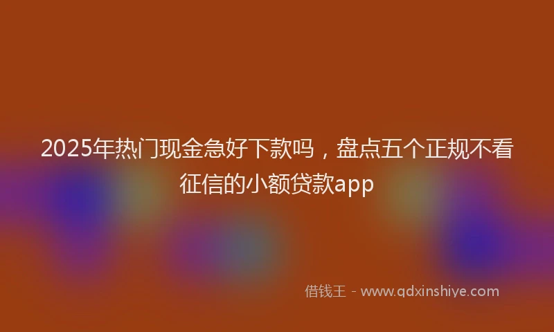 2025年热门现金急好下款吗，盘点五个正规不看征信的小额贷款app