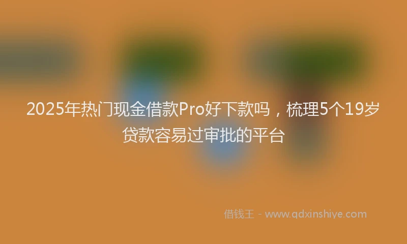 2025年热门现金借款Pro好下款吗，梳理5个19岁贷款容易过审批的平台