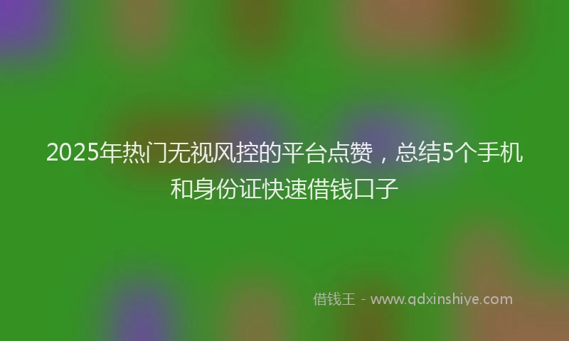 2025年热门无视风控的平台点赞，总结5个手机和身份证快速借钱口子