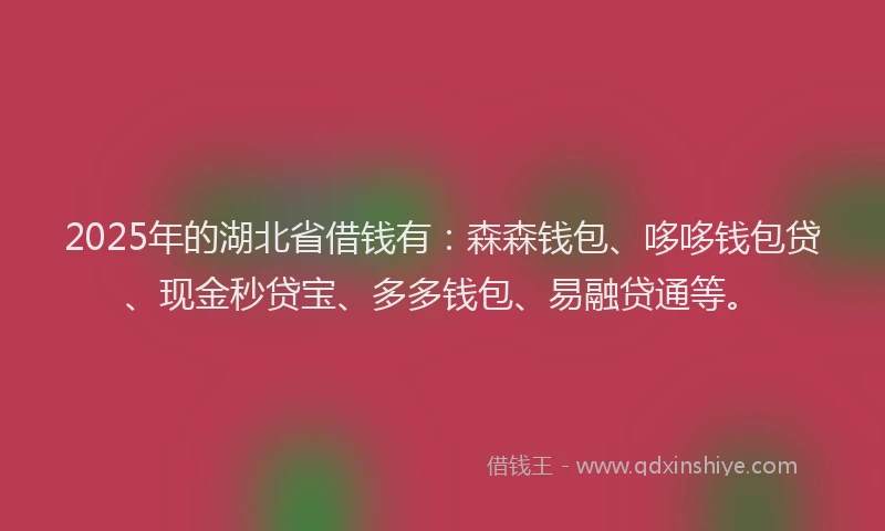 2025年的湖北省借钱有：森森钱包、哆哆钱包贷、现金秒贷宝、多多钱包、易融贷通等。