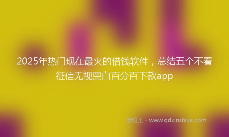 2025年热门现在最火的借钱软件，总结五个不看征信无视黑白百分百下款app