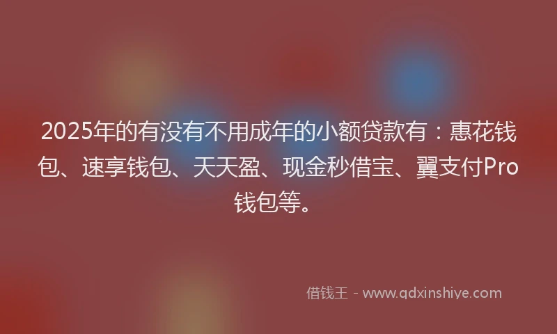 2025年的有没有不用成年的小额贷款有：惠花钱包、速享钱包、天天盈、现金秒借宝、翼支付Pro钱包等。