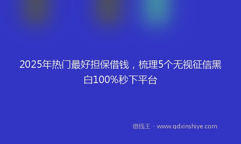 2025年热门最好担保借钱，梳理5个无视征信黑白100%秒下平台