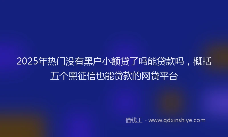 2025年热门没有黑户小额贷了吗能贷款吗，概括五个黑征信也能贷款的网贷平台