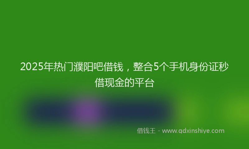 2025年热门濮阳吧借钱，整合5个手机身份证秒借现金的平台
