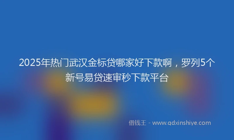 2025年热门武汉金标贷哪家好下款啊，罗列5个新号易贷速审秒下款平台